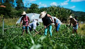 Os desafios do sindicalismo rural