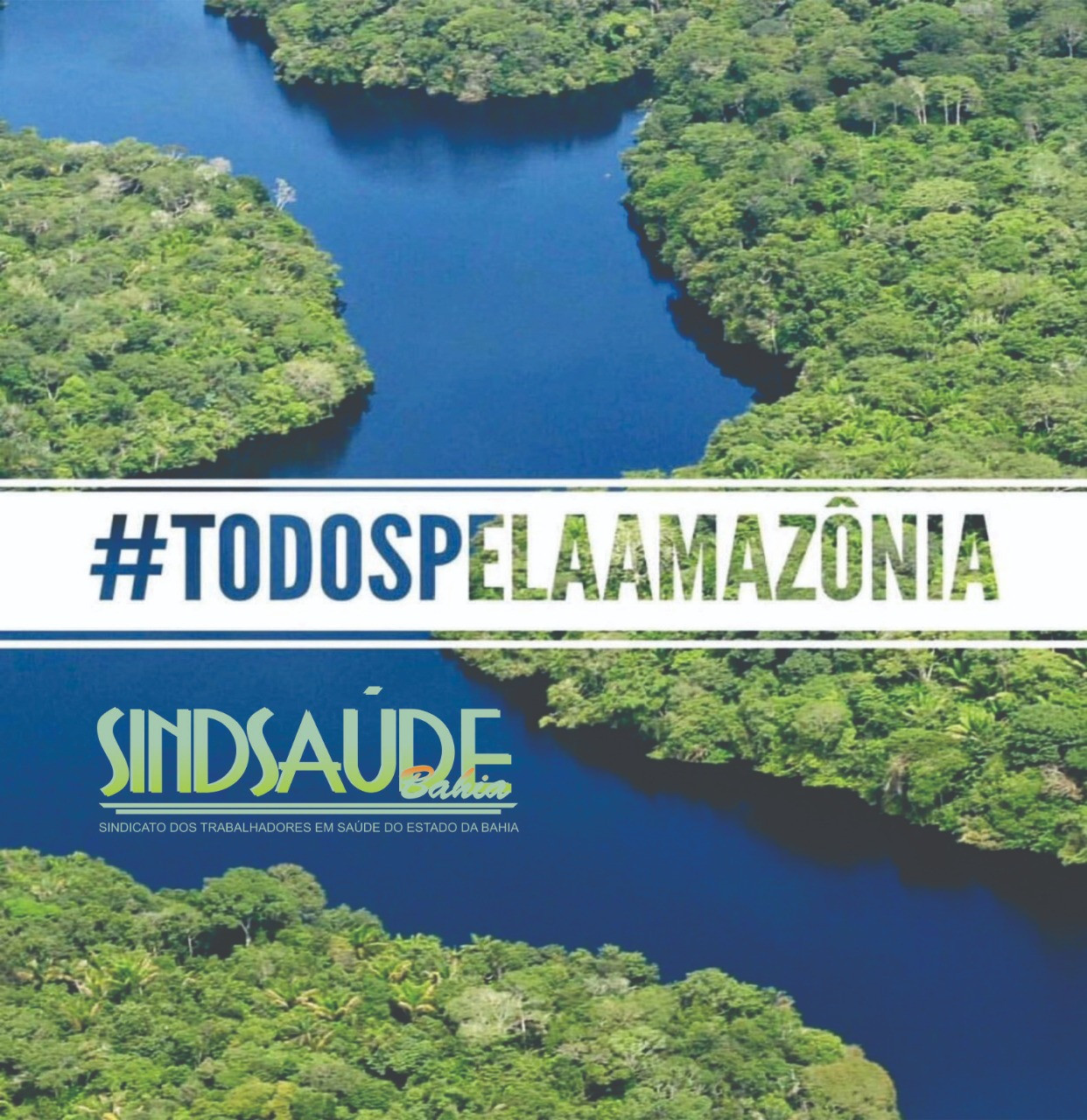 Manifesto do Sindsaúde em apoio a Amazônia e a Saúde do planeta